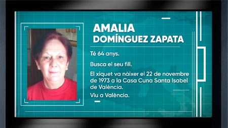 AMALIA DOMINGUEZ ZAPATA