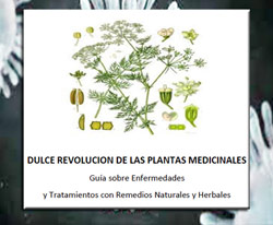 JOSEP PAMIES DULCE REVOLUCIÓN GUIA DE PLANTAS